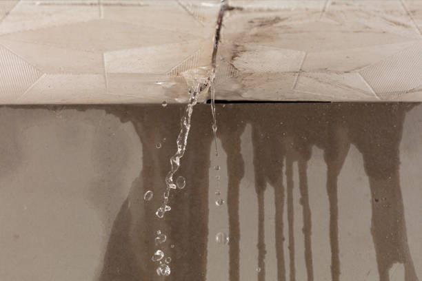 Professional Water Damage Repair technician working in Mart, TX